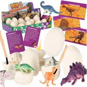 Dinosaury vykopávky figúrky z dinosaurích vajec archeologická sada 12 vajec