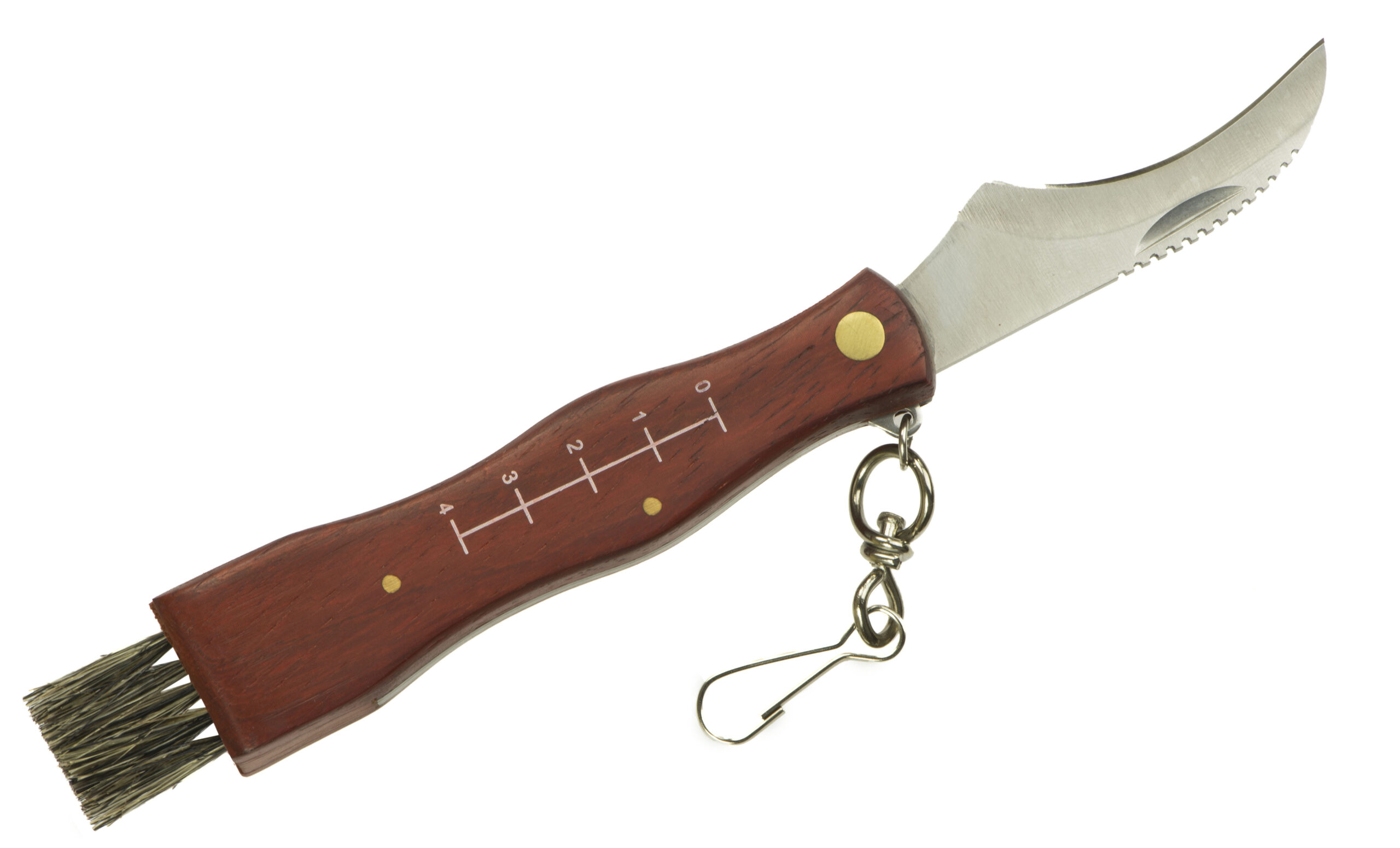 Noz-scyzoryk-do-zbierania-grzybow-na-grzyby-931281