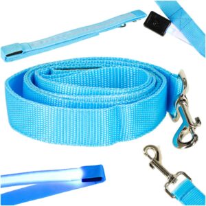 Svietiaca vodítka pre psov a mačky na prechádzky na jeseň a v zime, v noci, LED, 1,2 m, modrá