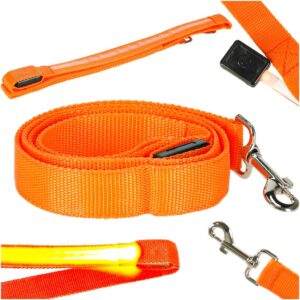 Svietiaca vodítka pre psov a mačky na prechádzky na jeseň a v zime, v noci, LED, 1,2 m, oranžová